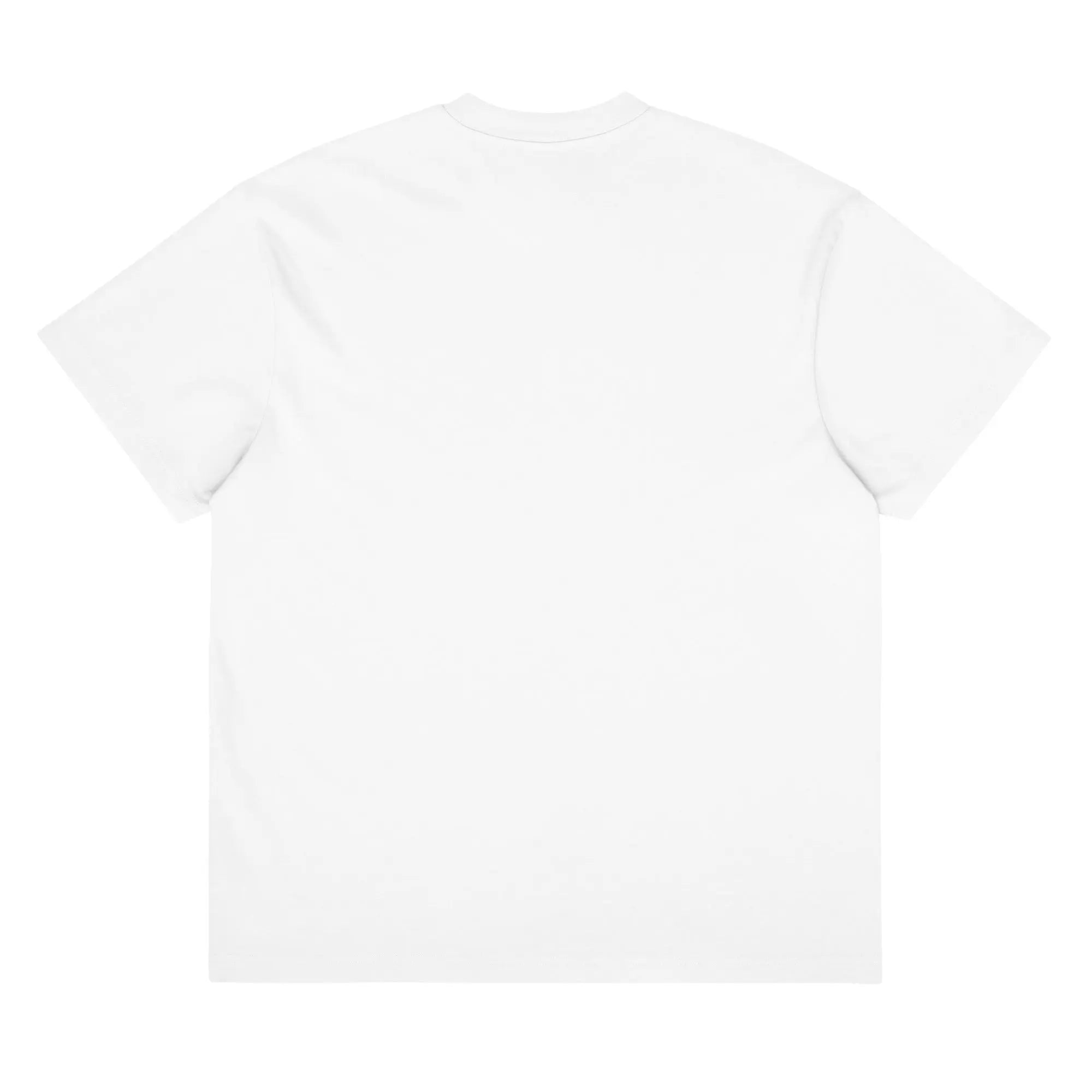Bon Voyage Men’s box tee.